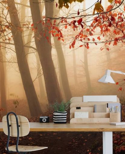 Towards the Light Wall Mural Wallpaper Towards the Light Wall Mural Wallpaper