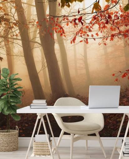 Towards the Light Wall Mural Wallpaper