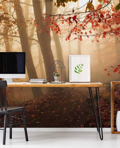 Towards the Light Wall Mural Wallpaper