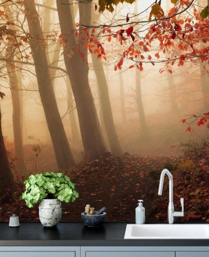 Papel pintado Hacia la luz