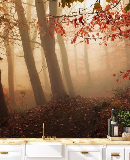 Rumo ao papel de parede mural de parede clara