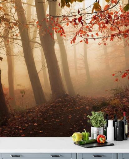 Towards the Light Wall Mural Wallpaper