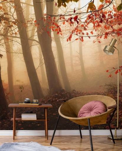 Auf dem Weg zum Licht Fototapete