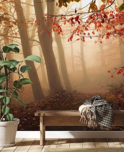 Towards the Light Wall Mural Wallpaper Towards the Light Wall Mural Wallpaper