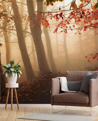 Towards the Light Wall Mural Wallpaper