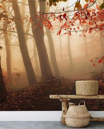 Auf dem Weg zum Licht Fototapete