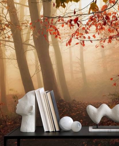 Towards the Light Wall Mural Wallpaper