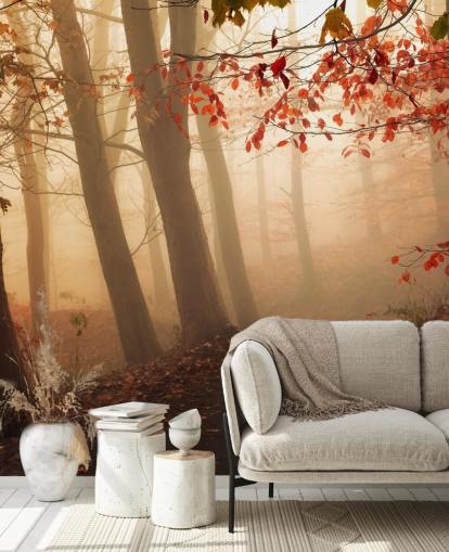 Auf dem Weg zum Licht Fototapete