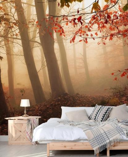 Towards the Light Wall Mural Wallpaper Towards the Light Wall Mural Wallpaper