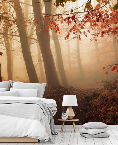 Towards the Light Wall Mural Wallpaper Towards the Light Wall Mural Wallpaper