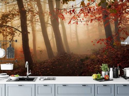 Papier Peint Fresque Vers la Lumière