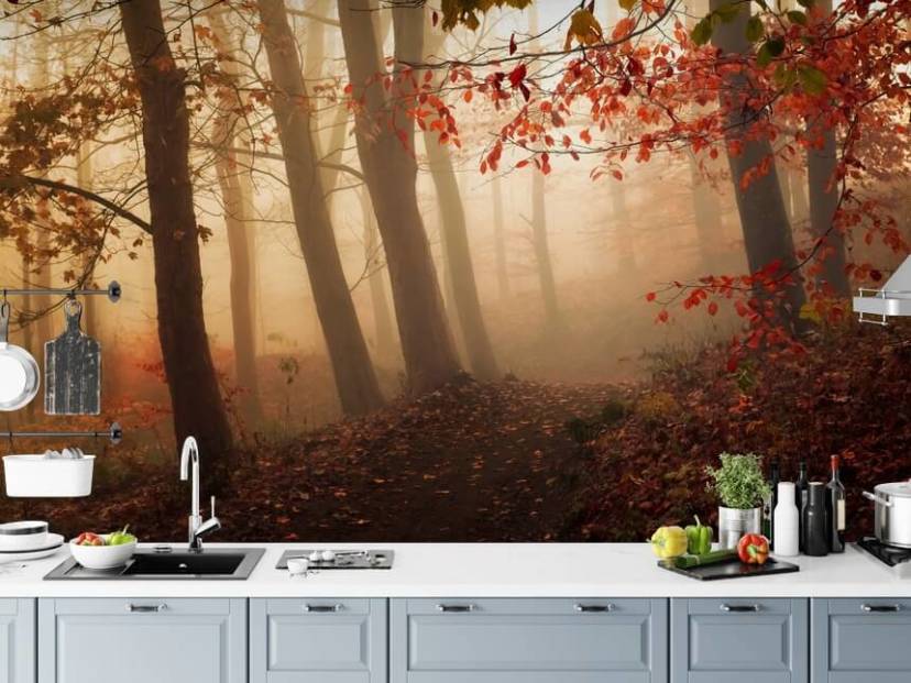 Papier Peint Fresque Vers la Lumière