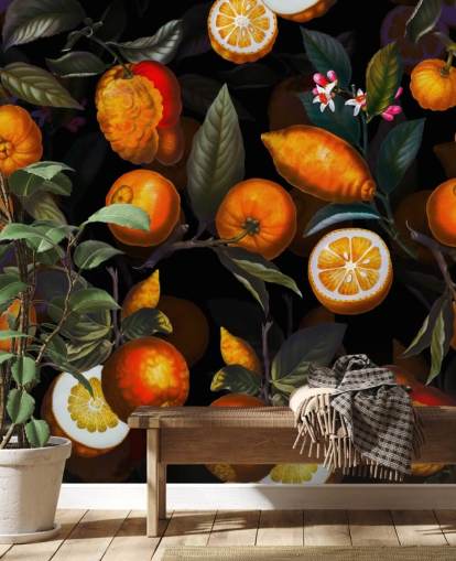 oranges on dark background wallpaper