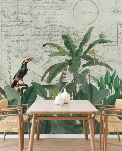 exotic birds in jungle and map background wallpaper