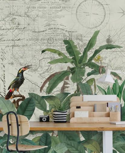 exotic birds in jungle and map background wallpaper