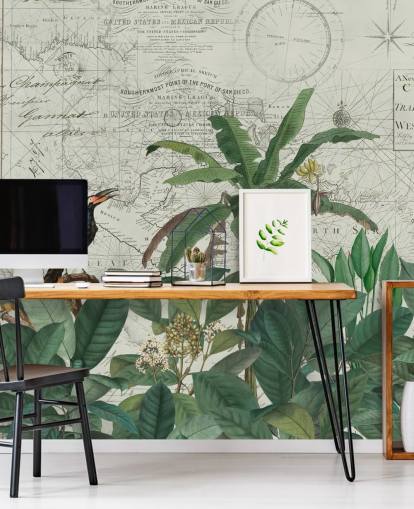 pássaros exóticos na selva e papel de parede de fundo do mapa