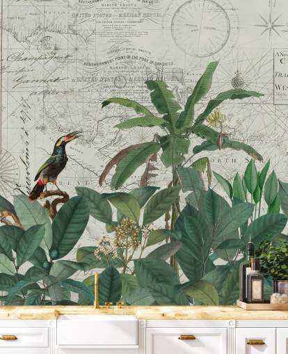 aves exóticas en la selva y fondo de pantalla de mapa