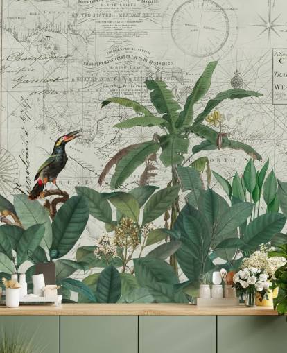 exotic birds in jungle and map background wallpaper exotic birds in jungle and map background wallpaper