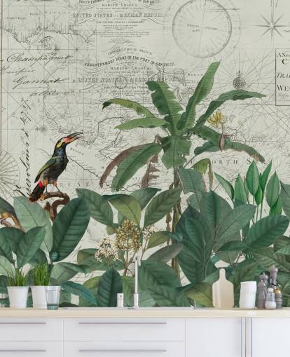 exotische Vögel im Dschungel und Kartenhintergrund