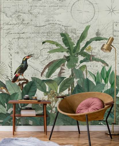 exotische vogels in jungle en kaart achtergrondbehang