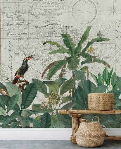 oiseaux exotiques dans la jungle et la carte fond d'écran oiseaux exotiques dans la jungle et la carte fond d'écran