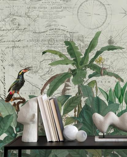 aves exóticas en la selva y fondo de pantalla de mapa aves exóticas en la selva y fondo de pantalla de mapa