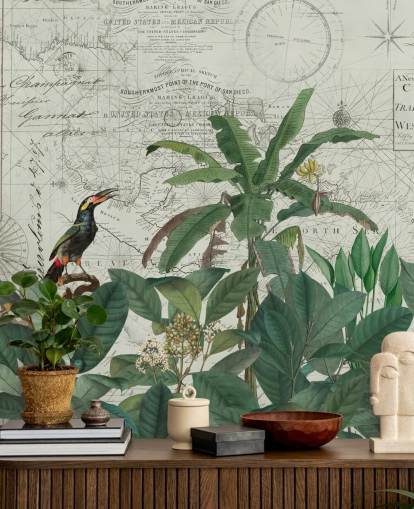 exotic birds in jungle and map background wallpaper