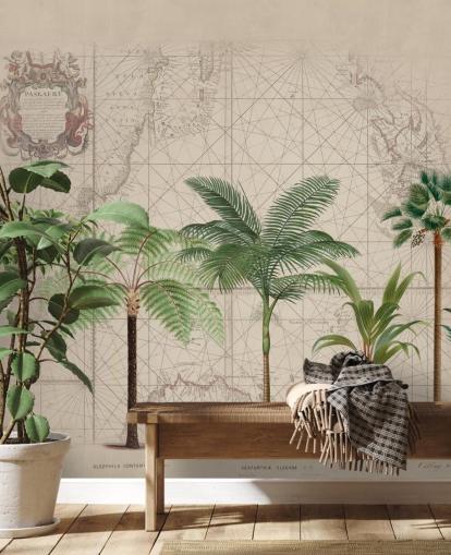 fila de árboles tropicales y fondo de pantalla de mapa