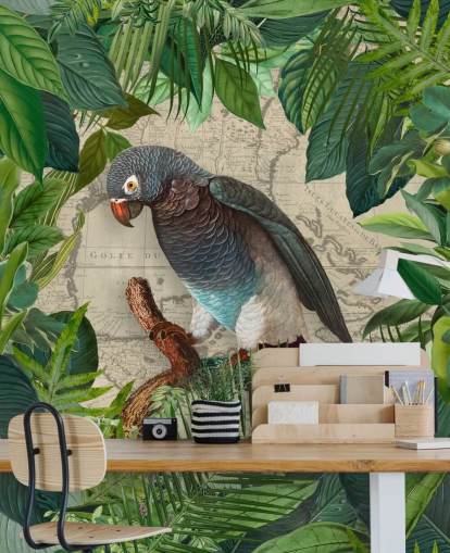 grey/blue parrot amongst green leaves wallpaper