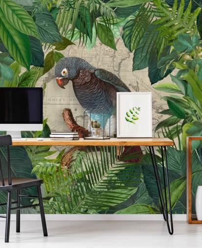 grey/blue parrot amongst green leaves wallpaper