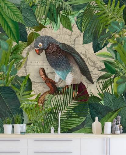 papagaio cinza/azul entre folhas verdes papel de parede papagaio cinza/azul entre folhas verdes papel de parede