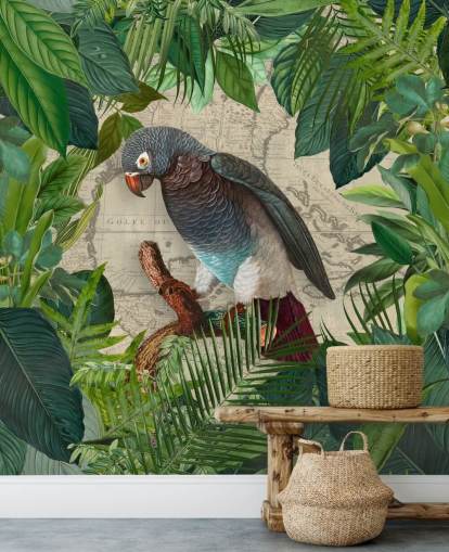 grey/blue parrot amongst green leaves wallpaper grey/blue parrot amongst green leaves wallpaper