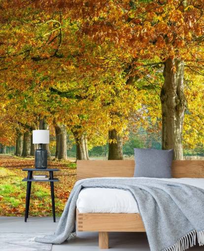 orange and yellow autumn trees wallpaper orange and yellow autumn trees wallpaper