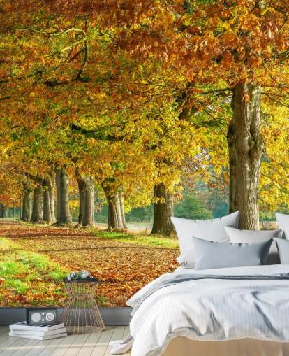 orange and yellow autumn trees wallpaper orange and yellow autumn trees wallpaper