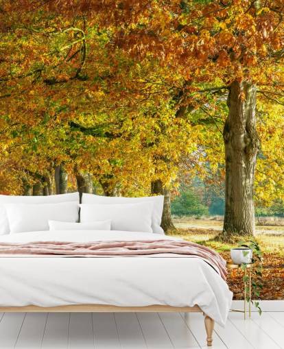 papier peint arbres d'automne orange et jaune