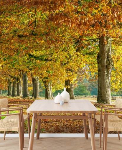 orange and yellow autumn trees wallpaper orange and yellow autumn trees wallpaper