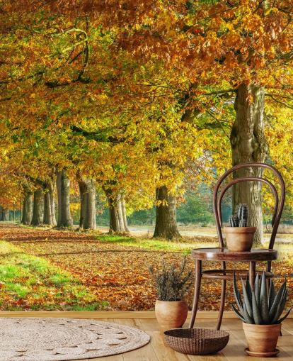 orange and yellow autumn trees wallpaper orange and yellow autumn trees wallpaper