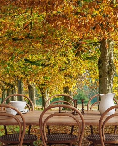 papel pintado de árboles de otoño naranja y amarillo papel pintado de árboles de otoño naranja y amarillo