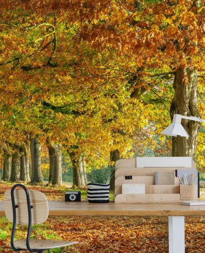 papier peint arbres d'automne orange et jaune papier peint arbres d'automne orange et jaune