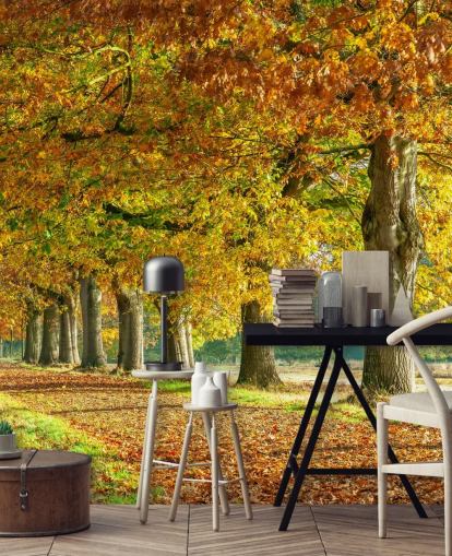 orange and yellow autumn trees wallpaper orange and yellow autumn trees wallpaper