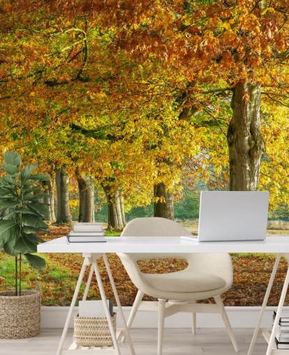 orange and yellow autumn trees wallpaper