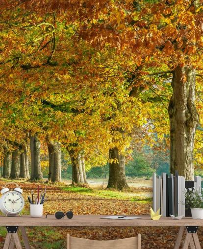 orange und gelbe Bäume im Herbst Tapete