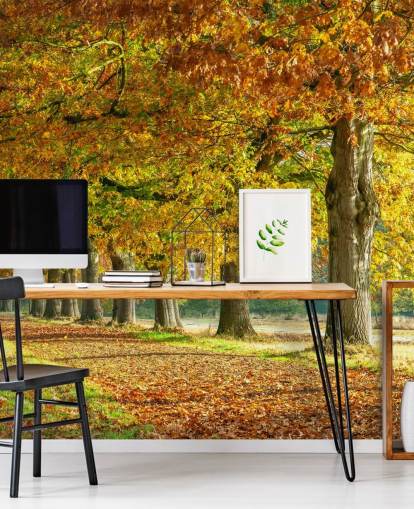 papel pintado de árboles de otoño naranja y amarillo