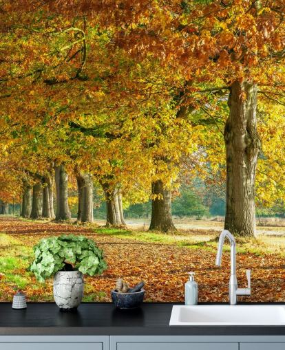 carta da parati alberi autunnali arancione e giallo