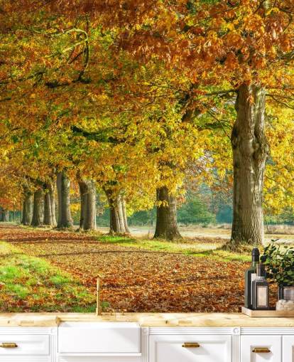 carta da parati alberi autunnali arancione e giallo carta da parati alberi autunnali arancione e giallo