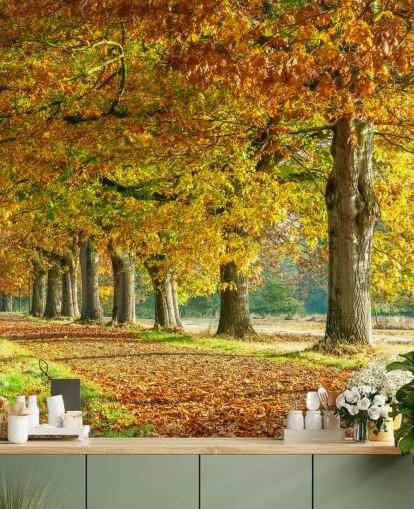 oranje en gele herfstbomen behang