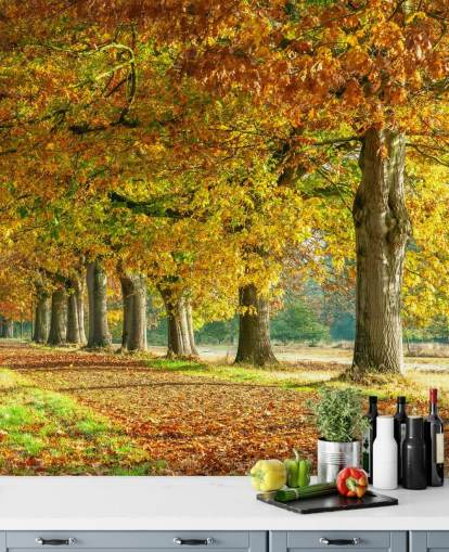 papel pintado de árboles de otoño naranja y amarillo