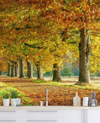 oranje en gele herfstbomen behang