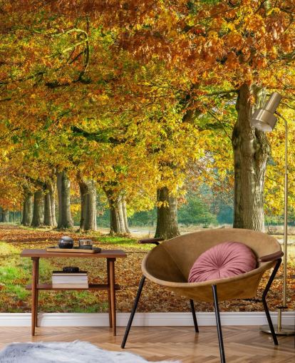 papier peint arbres d'automne orange et jaune