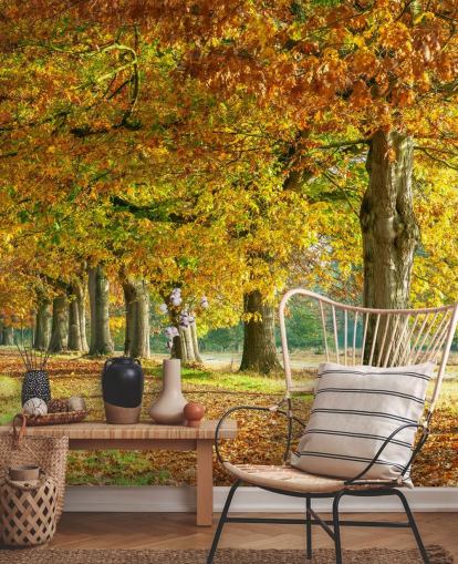 oranje en gele herfstbomen behang